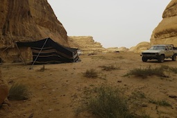 Bedouins à la recherche de la réception